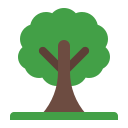 Árbol icon