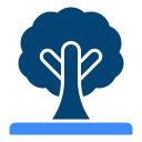 Árbol icon