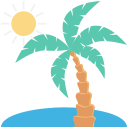 palmera icon