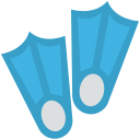 Fins 