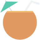 jugo de coco icon