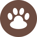 mascota icon