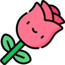 Rosa icon