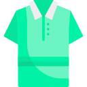 Polo icon