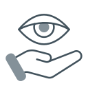 análisis ocular icon