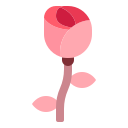 rosa icon