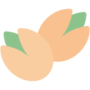 pistacho icon