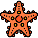 Estrella de mar icon