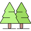 Pine icon