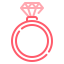 anillo icon