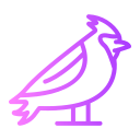 pájaro icon