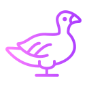 pato icon