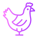 gallina icon