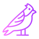 pájaro icon