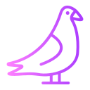 pájaro icon