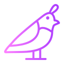 pájaro icon