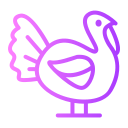 pavo icon