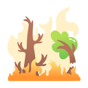 incendio forestal icon