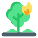 arbol quemado icon