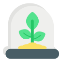 cultivo de plantas icon