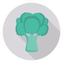 Brócoli icon