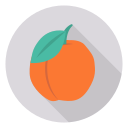 апельсин icon
