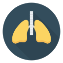 Pulmones icon