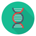 Dna icon