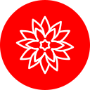 rangoli icon