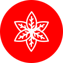 albahaca icon