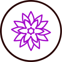 rangoli icon