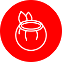 coco icon