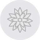 rangoli icon