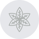 albahaca icon