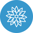 rangoli icon