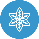 albahaca icon