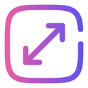 maximizar icon