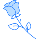 rosa icon