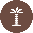 Árbol de coco icon