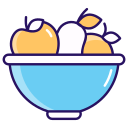 cuenco de frutas icon