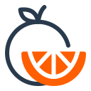 fruta naranja icon