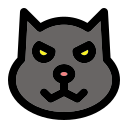 gato icon