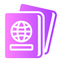 pasaporte icon