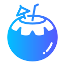 coco icon