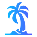 palmera icon