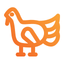 pavo icon