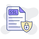 ssl icon