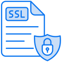 ssl icon