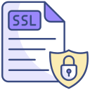 ssl icon