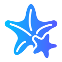 estrella de mar icon